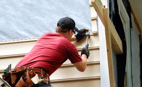 Shed Removal in Dripping Springs, TX